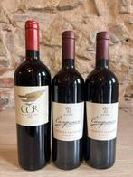 2010 x2 Campaner Cabernet Sauvignon Riserva & 1998 Cor, Verzamelen, Nieuw