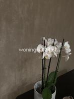 Woningruil - Zernikeplaats 333 - 4 kamers en Rotterdam, Huizen en Kamers, Rotterdam