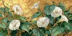 Miss Evoke - White supertunies - XXL, Antiek en Kunst