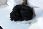 Afrikaanse spons / net sponge - traditionele SAPO spons / sc, Ophalen of Verzenden, Nieuw