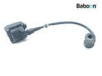 Bobine Piaggio | Vespa MP3 400 RL 2007-2010 (VIN: ZAPM59101), Verzenden, Gebruikt