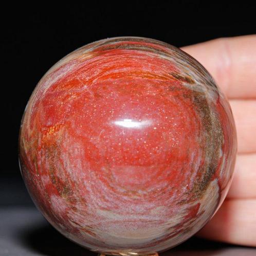 Bol van gepolijst fossiel hout - Collectie van topkwaliteit, Verzamelen, Mineralen en Fossielen