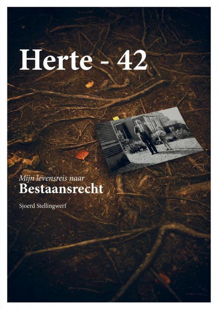 Herte - 42 9789463181259 Sjoerd Stellingwerf, Boeken, Godsdienst en Theologie, Gelezen, Verzenden