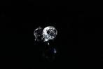Swarovski - Adi Stocker - Figuur - Swarovski - Panda Baby