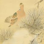 Pigeon Perched on Pine Tree in Snow with Original Box