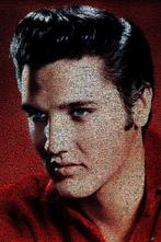 David Law - Crypto Elvis X