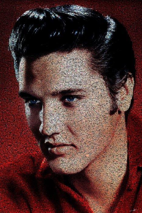 David Law - Crypto Elvis X, Antiek en Kunst, Kunst | Designobjecten