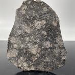 REBIANA 002, meteoriet van de asteroïde VESTA Achondrite