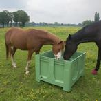 Slowfeeder XXL ALLEEN DIT WEEKEND NOG 10% EXTRA KORTING, Dieren en Toebehoren, 2 of 3 paarden of pony's, Weidegang