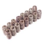 Ford Racing BOSS 302R Valve Spring Kit - M-6513-M50BR, Ophalen of Verzenden, Nieuw