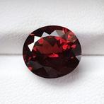 Zonder Minimumprijs Rood Granaat  - 5.86 ct - International, Nieuw