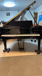 Petrof - Model 3 - - Vleugel - Tsjechië - 1988, Nieuw