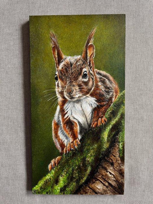 Miranda Assink (1970) - Eekhoorn, Antiek en Kunst, Kunst | Schilderijen | Klassiek