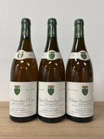 2003 Charles de Vallière Sous le Puits - Puligny, Nieuw
