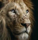 Rudy barret - Regard du Roi - XL, Antiek en Kunst