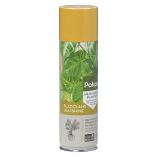Bladglans | Pokon | 250 ml (Natuurlijke glans), Tuin en Terras, Plantenvoeding, Nieuw, Verzenden