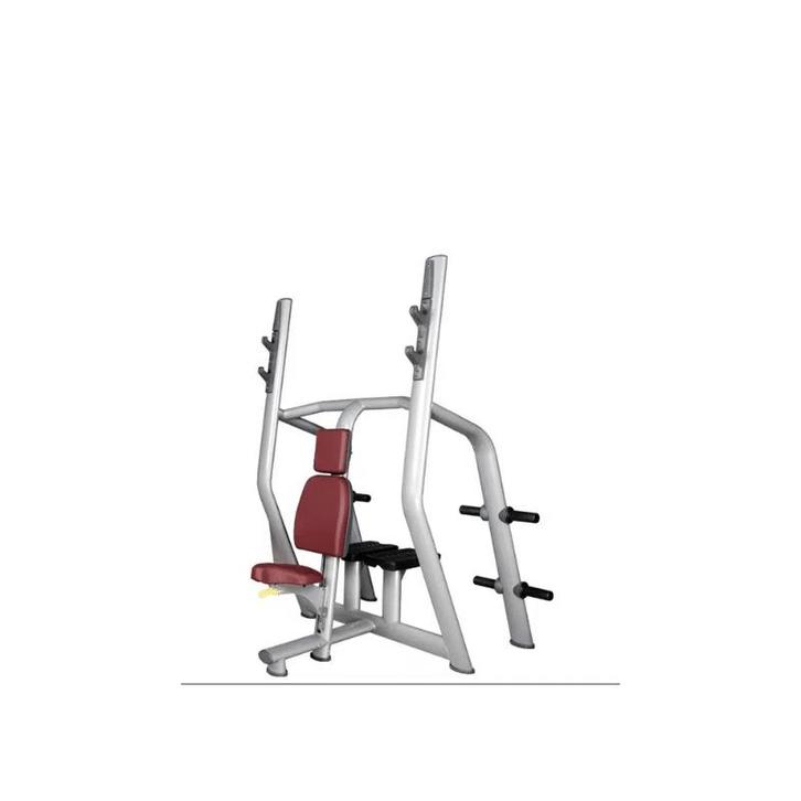 Technogym - Vertical Bench - Shoulder Press Bench, Sport en Fitness, Fitnessmaterialen, Zo goed als nieuw, Ophalen of Verzenden