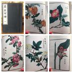 Kono Birei - 100 (wood printing) kinds of flowering plants