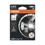 Osram C5W LED Retrofit 31mm Wit 12V SV8.5-8, Ophalen of Verzenden, Nieuw