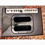 AER Compact 60/2 Akoestisch Gitaarcombo, Muziek en Instrumenten, Ophalen of Verzenden, Gebruikt, Gitaar, 50 tot 100 watt