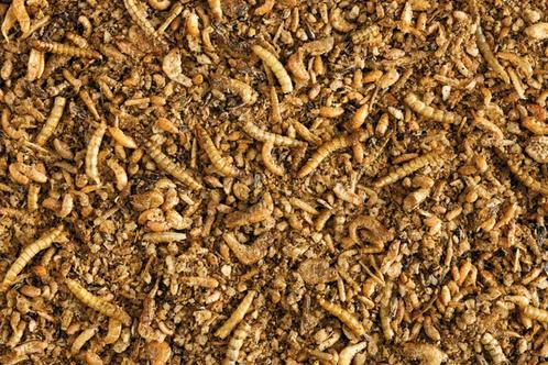 Insect patee premium - Supplementen - Nutribird, Dieren en Toebehoren, Vogels | Toebehoren, Nieuw, Verzenden