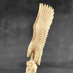 Snijwerk, NO RESERVE PRICE - Stunning Eagle carving from, Antiek en Kunst