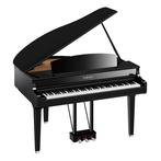 Elektrische Vleugels, Muziek en Instrumenten, Piano's, Nieuw