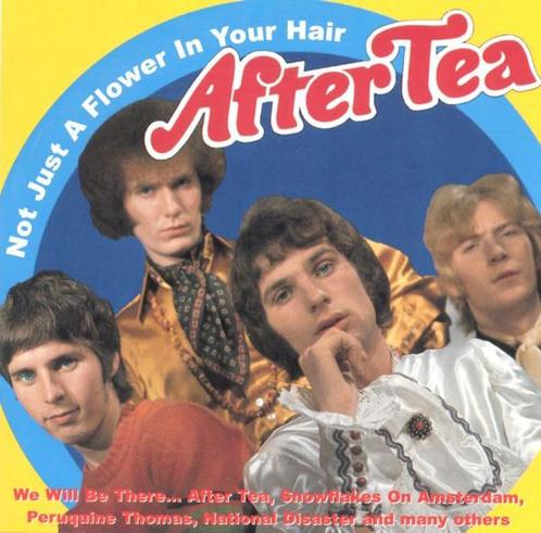 cd - After Tea - Not Just A Flower In Your Hair, Cd's en Dvd's, Cd's | Overige Cd's, Zo goed als nieuw, Verzenden