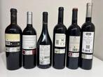 2001 Valdemar Inspiración, 2001 Valpiedro, 2004 Ondalan 100, Nieuw