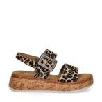 Gabor Comfort sandalen voor dames in het Bruin, Bruin, Verzenden, Gabor, Nieuw
