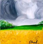 Giorgio Bergallo - STORM