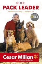 Be the Pack Leader | 9780340976456 | Cesar Millan, Boeken, Zo goed als nieuw, Cesar Millan