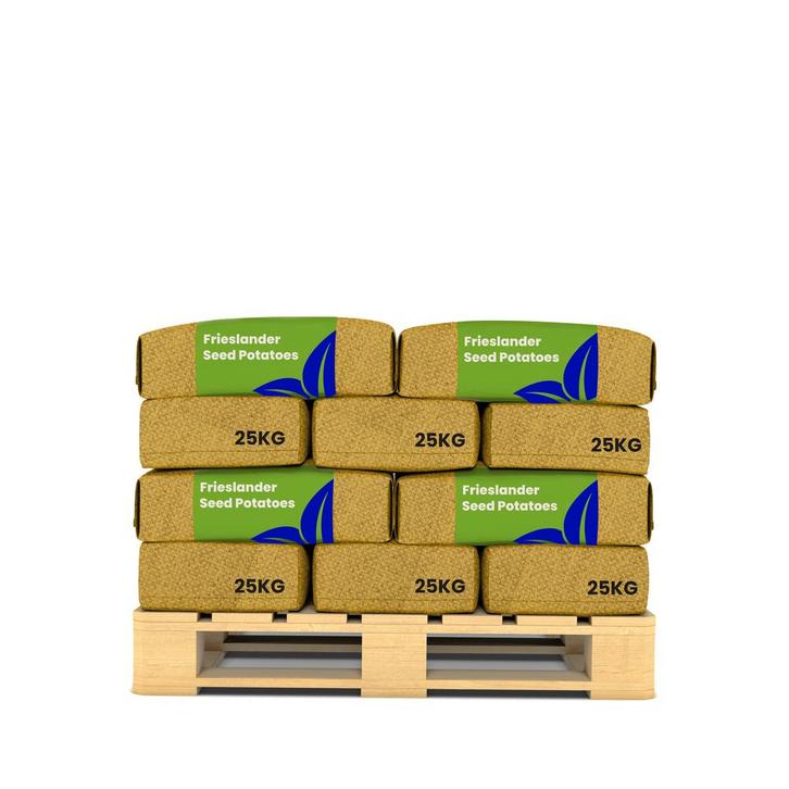 Pootaardappelen Frieslander A 28/35 (20x = 500kg), Tuin en Terras, Bloembollen en Zaden, Gehele jaar, Volle zon, Verzenden