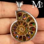Zilveren hanger met Cleoniceras ammoniet en ammolit inleg -