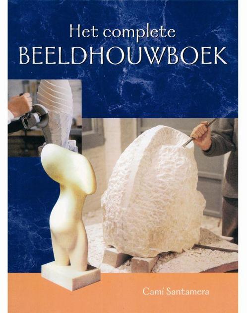 Het complete beeldhouwboek 9789021331263 J.T. I. Cami, Boeken, Hobby en Vrije tijd, Gelezen, Verzenden