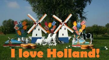 I love Holland / Boeren feest / Holland thema / theme party beschikbaar voor biedingen