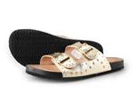 Ann Rocks Slippers in maat 40 Goud | 25% korting, Kleding | Dames, Schoenen, Slippers, Ann Rocks, Overige kleuren, Verzenden