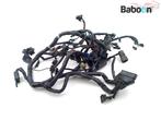 Kabelboom Triumph America 2008-2011 (VIN <468389) (T2502502), Motoren, Gebruikt