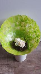 Capiz Camar schelpen Appelgroen 500 gram, Ophalen of Verzenden, Nieuw