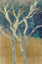 Jorge Omeñaca (1981) - Arborum