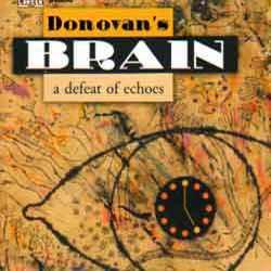 cd - Donovans Brain - A Defeat Of Echoes, Cd's en Dvd's, Cd's | Rock, Zo goed als nieuw, Verzenden