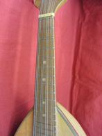 Suzuki - No. 203 - - Mandoline - Japan - 1963, Muziek en Instrumenten, Nieuw