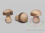 Iets grotere houten paddenstoelen 3x3. 5cm./ doosje, Nieuw, Ophalen of Verzenden