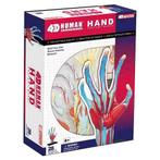 4D Master 4D puzzel - Wetenschap biologie 26057 hand 1:1...., Verzenden, Nieuw