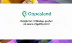 Elsbeth zoekt een oppas in Amsterdam voor 2 kinderen op w..., Vacatures, Vacatures | Administratief en Secretarieel