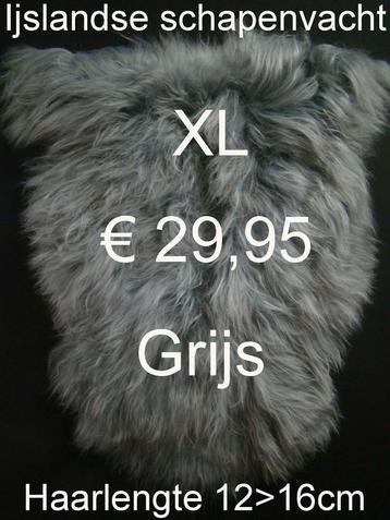 Schapenvacht GRIJS IJSLANDSE GRIJZE langharige vacht € 29,95 beschikbaar voor biedingen