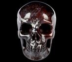 448 g 8,70 x 6,70 cm Afrikaanse Bloody Red Dragon Blood