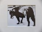 Daido Moriyama - Stray Dog, Antiek en Kunst, Kunst | Designobjecten