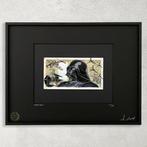 Ciscø (1979) - SpaceWar