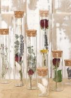 Reageerbuisjes glas met kurk 20 cm Ø3 cm doos 6 stuks, Ophalen of Verzenden, Nieuw